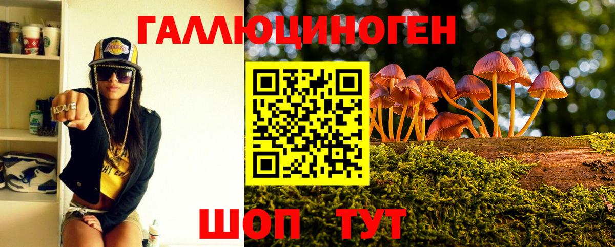 Галлюциногенные грибы MAGIC MUSHROOMS  Вход с VPN  Каменка 