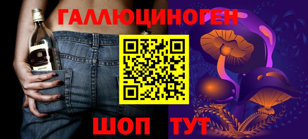 Галлюциногенные грибы Psilocybe Каменка